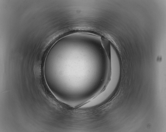 X0000090970531200708161837