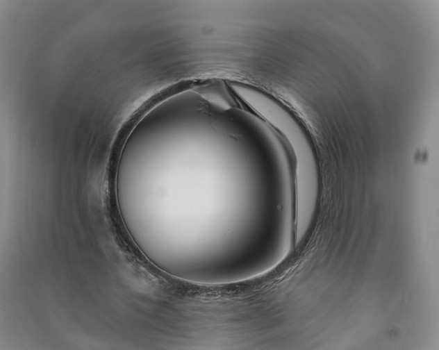 X0000090970532200708161837