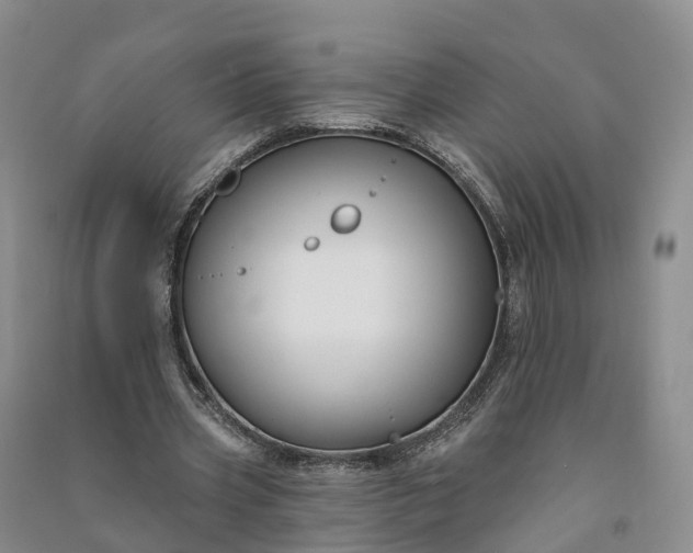 X0000090970533200708161838