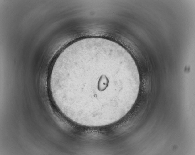 X0000090970534200708161838