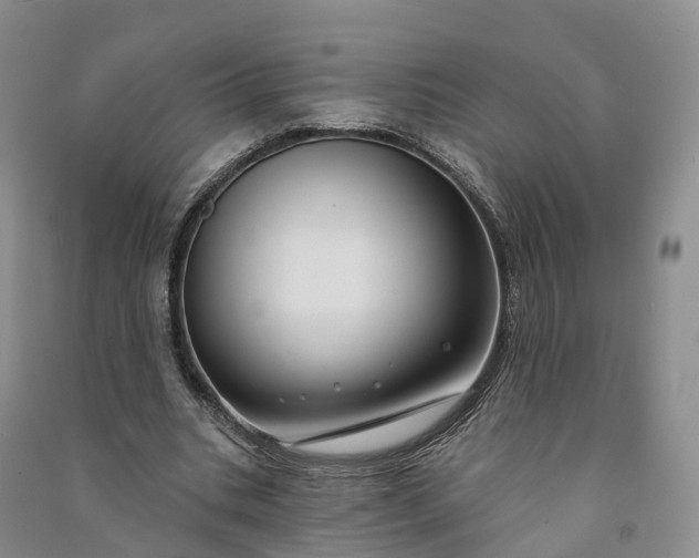 X0000090970535200708161838