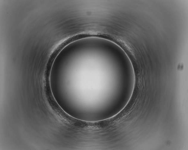 X0000090970536200708161838