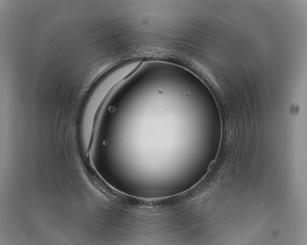 X0000090970538200708161838