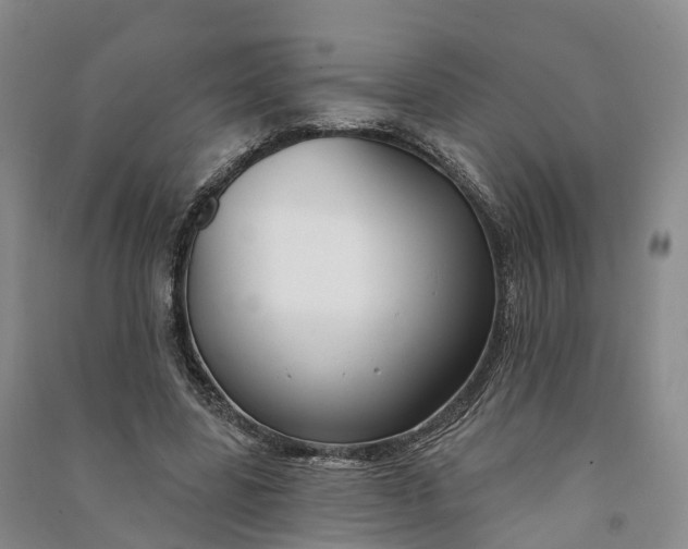 X0000090970539200708161838