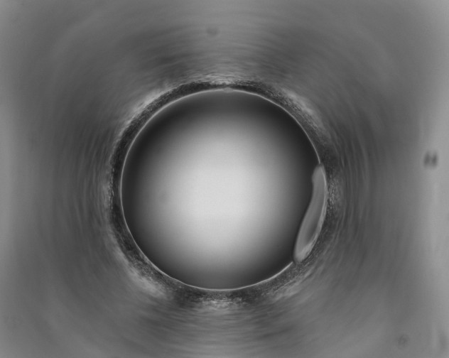 X0000090970540200708161838