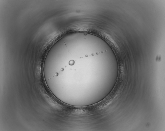 X0000090970541200708161838