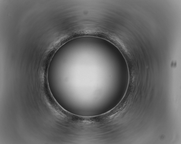 X0000090970542200708161838