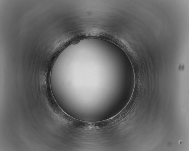 X0000090970543200708161838