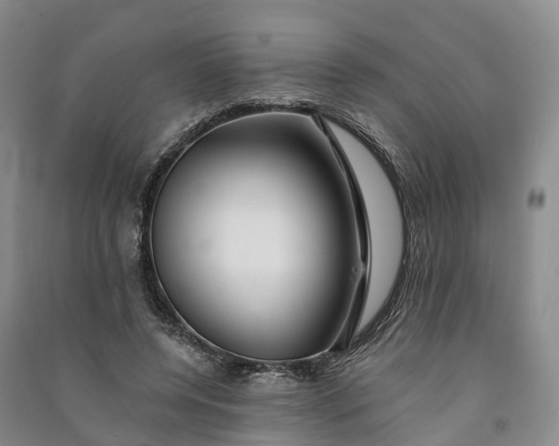 X0000090970544200708161838