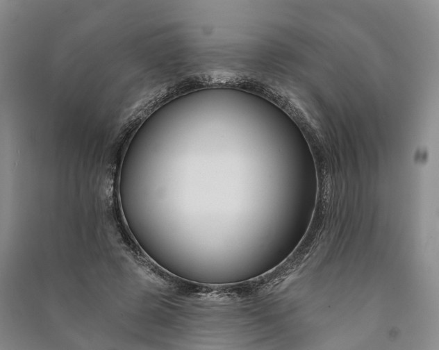 X0000090970545200708161838