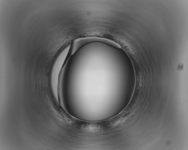 X0000090970546200708161838