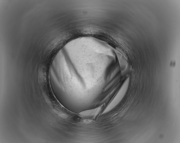 X0000090970547200708161838