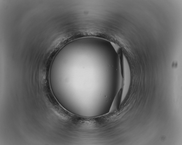 X0000090970548200708161838