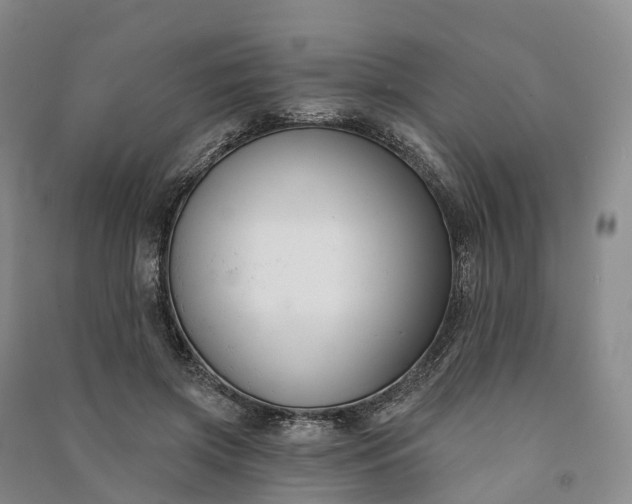 X0000090970549200708161838