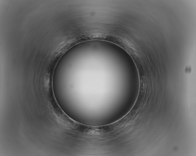 X0000090970550200708161838