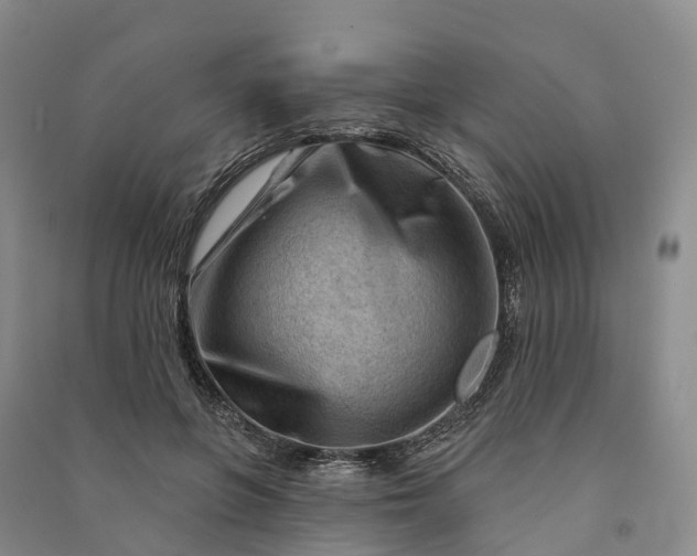 X0000090970551200708161838