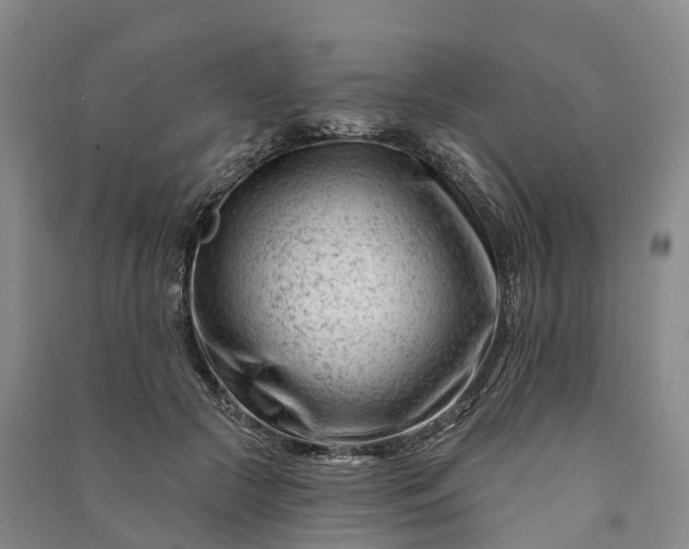 X0000090970553200708161838