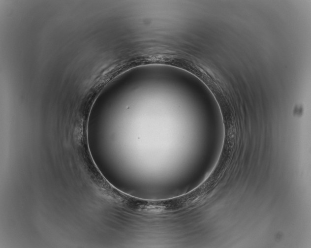 X0000090970554200708161838