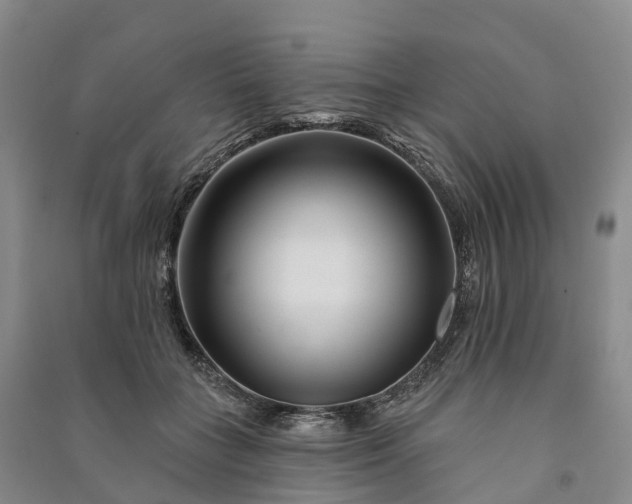 X0000090970555200708161838