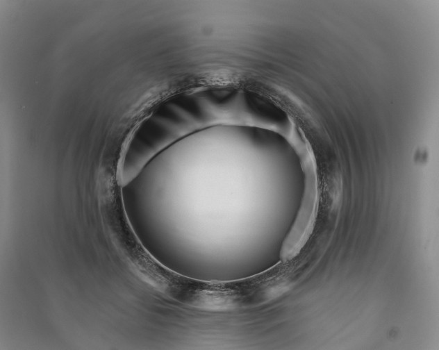 X0000090970556200708161838