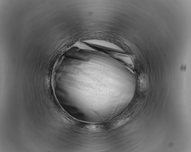 X0000090970558200708161838