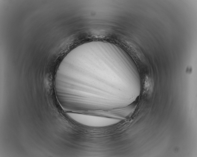 X0000090970559200708161838