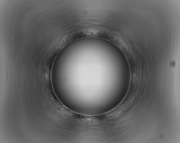 X0000090970561200708161838