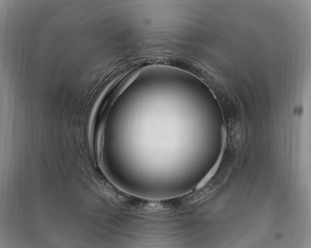 X0000090970562200708161838