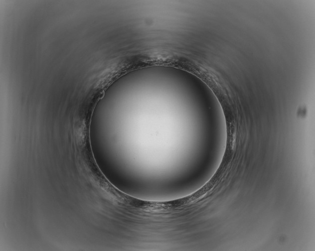 X0000090970563200708161838