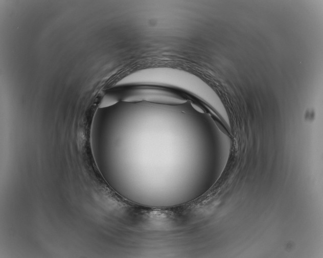 X0000090970566200708161838