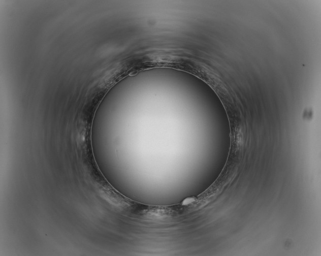 X0000090970567200708161838