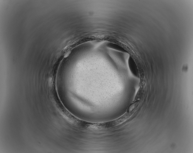 X0000090970568200708161838