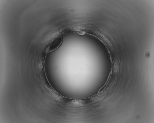 X0000090970569200708161838