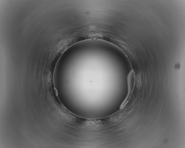 X0000090970571200708161838