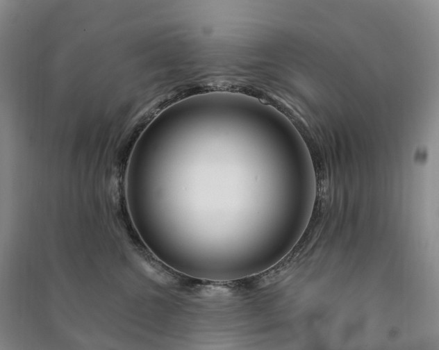 X0000090970572200708161838