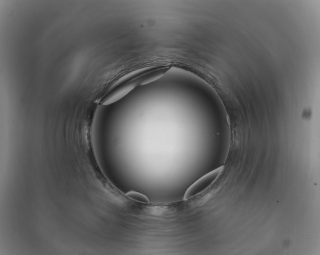 X0000090970575200708161838