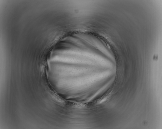 X0000090970576200708161838