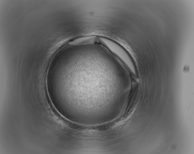 X0000090970577200708161837