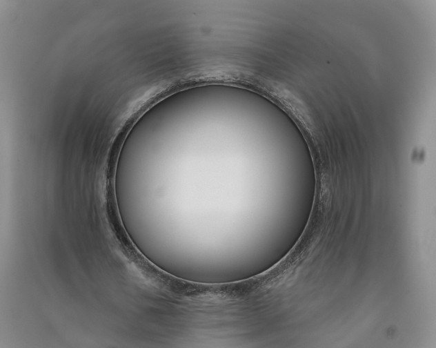 X0000090970578200708161837