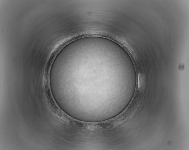 X0000090970579200708161837