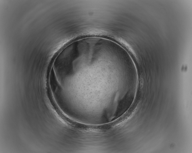 X0000090970581200708161837