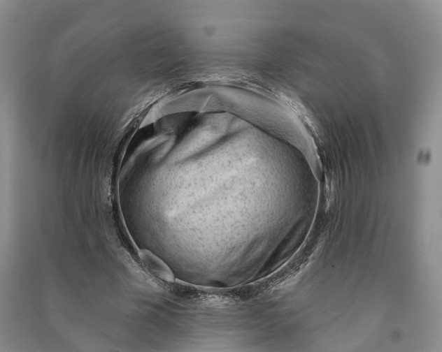 X0000090970585200708161837