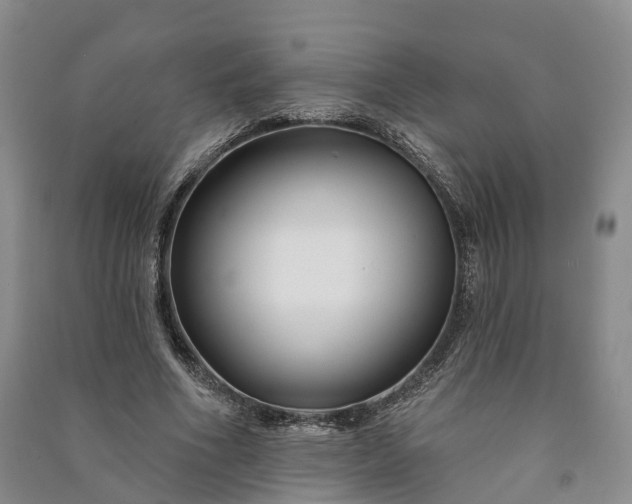 X0000090970586200708161837