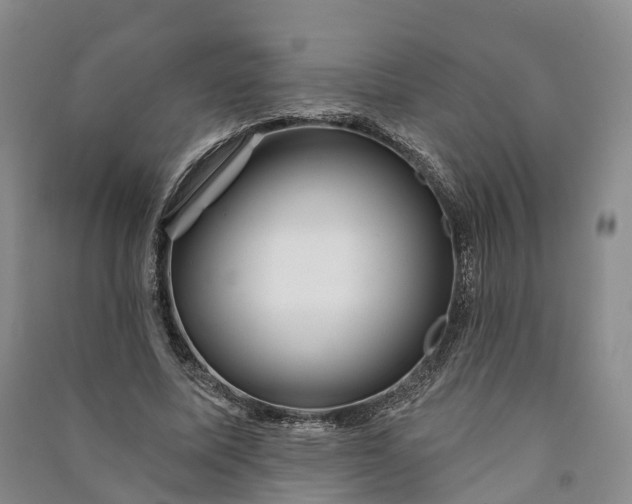 X0000090970587200708161837