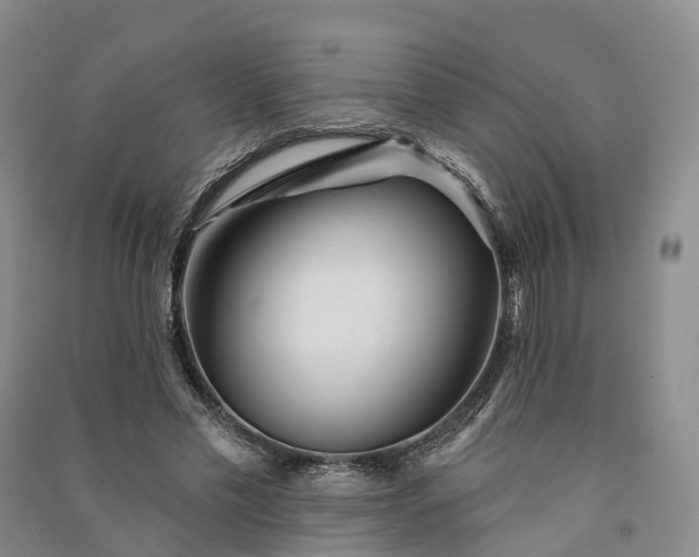 X0000090970589200708161837