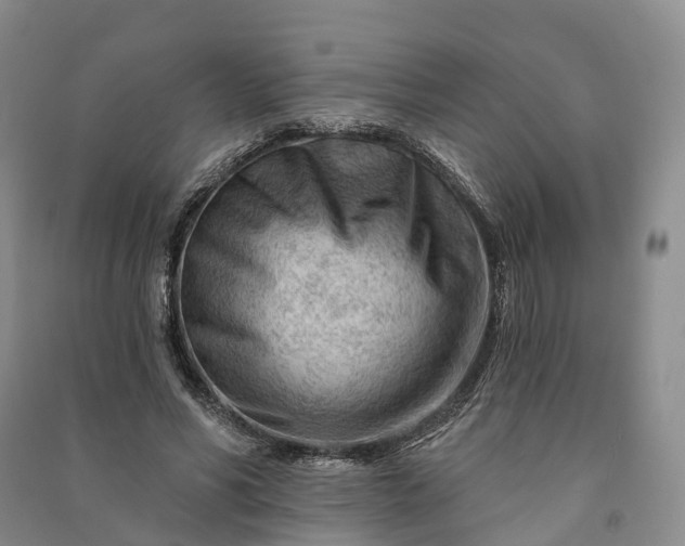 X0000090970590200708161837