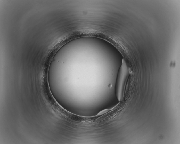 X0000090970591200708161837