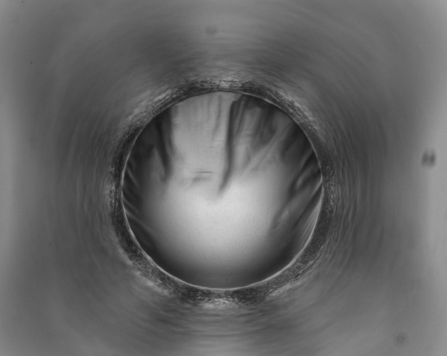 X0000090970594200708161837