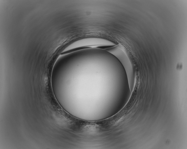 X0000090970595200708161837