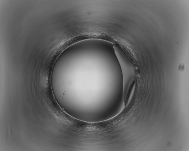 X0000090970596200708161837